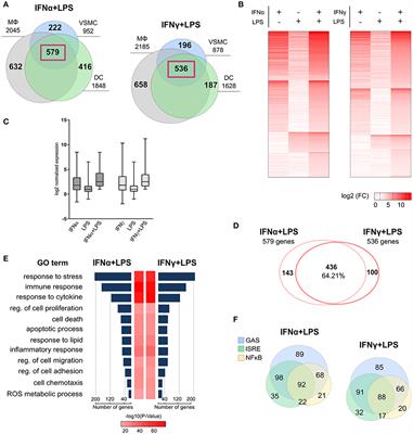 Signal Integration of IFN-I and IFN-II With TLR4 Involves Sequential Recruitment of STAT1-Complexes and NFκB to Enhance Pro-inflammatory Transcription